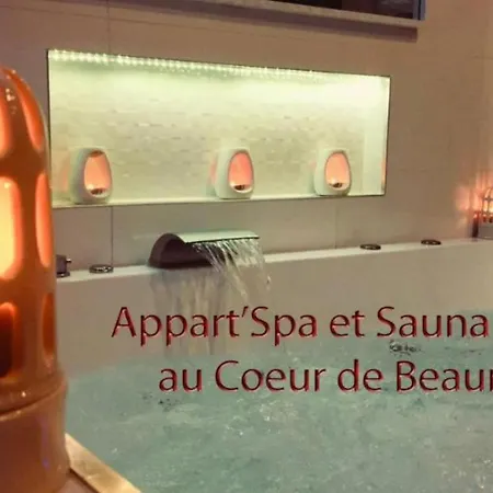 Appart' Et Sauna Privatif Au Coeur De Μπον