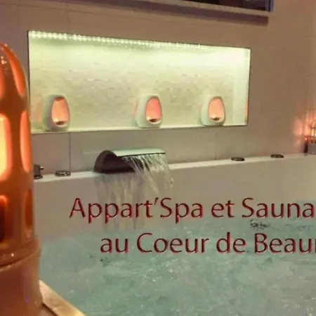 Appart' Et Sauna Privatif Au Cœur De Beaune
