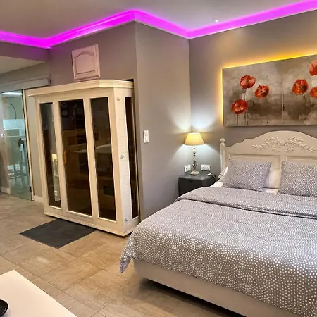 Appart' Et Sauna Privatif Au Coeur De Apartament