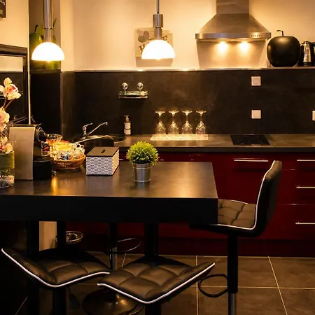 Appart' Et Sauna Privatif Au Coeur De Beaune (Cote d'Or)