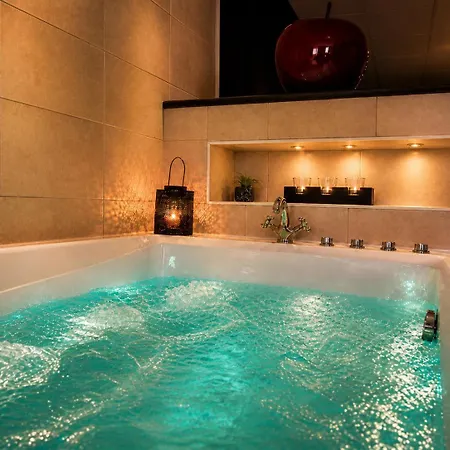 Appart' Et Sauna Privatif Au Coeur De Appartement