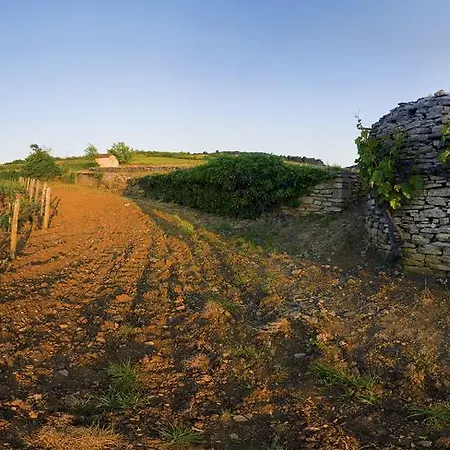 Appart' Et Sauna Privatif Au Coeur De Appartamento Beaune (Cote d'Or)