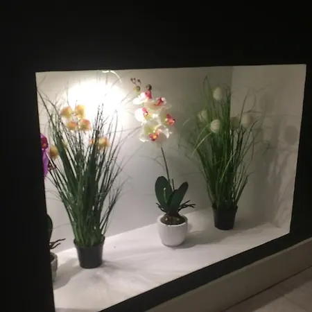 Appart' Spa Et Sauna Privatif Au Coeur De Beaune Apartment