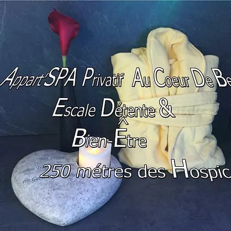 Appart' Et Sauna Privatif Au Cœur De Beaune Beaune (Cote d'Or)