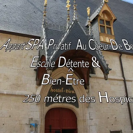 Appart' Et Sauna Privatif Au Coeur De Appartamento Beaune (Cote d'Or)