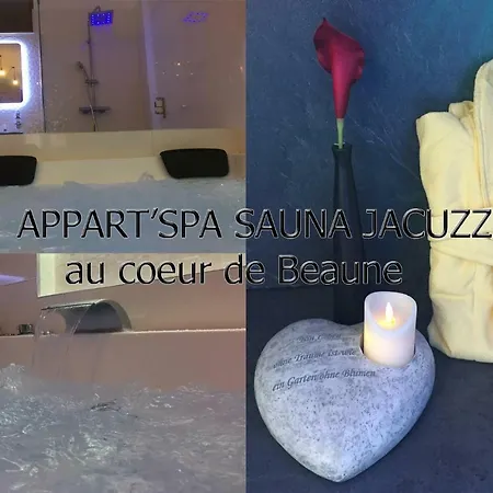 Appart' Spa Et Sauna Privatif Au Coeur De Beaune * Beaune (Cote d'Or)