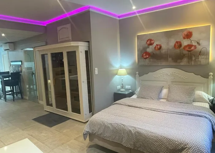 Апартаменты Appart' Spa Et Sauna Privatif Au Coeur De Beaune