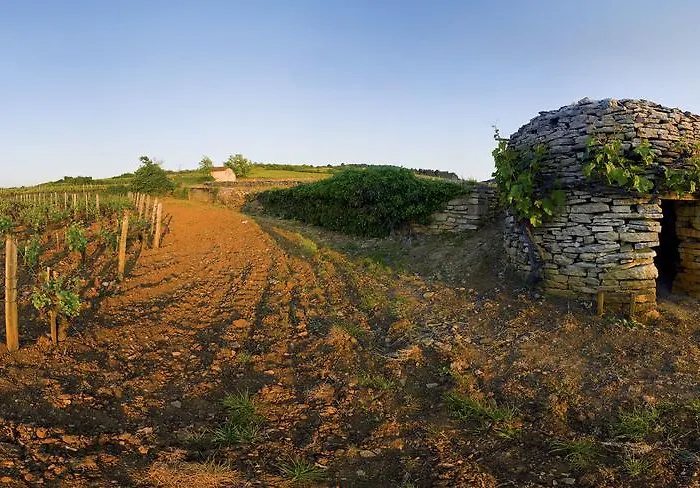 Appart' Spa Et Sauna Privatif Au Coeur De Beaune Апартаменты Бон