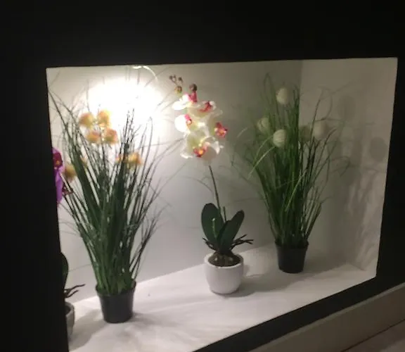 Appart' Spa Et Sauna Privatif Au Coeur De Beaune Апартаменты