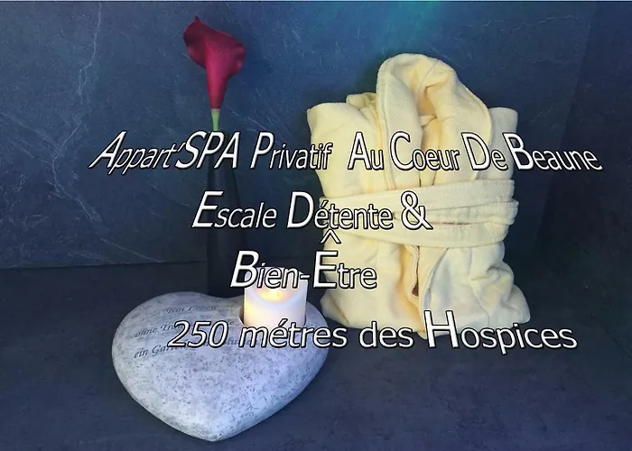 Appart' Et Sauna Privatif Au Coeur De Μπον