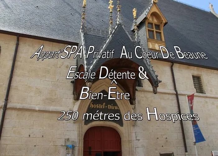 Appart' Spa Et Sauna Privatif Au Coeur De Beaune Апартаменты Бон