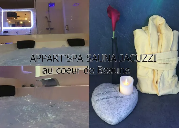 Appart' Spa Et Sauna Privatif Au Coeur De Beaune * Бон