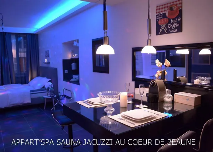 Appart' Et Sauna Privatif Au Coeur De Μπον