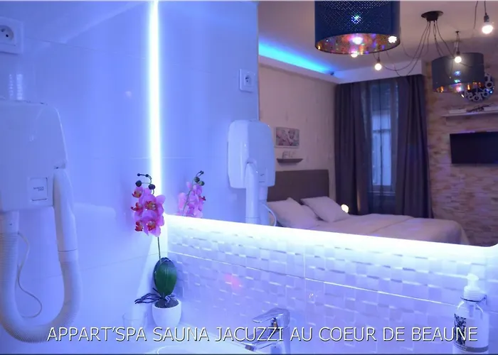 Appart' Spa Et Sauna Privatif Au Coeur De Beaune Апартаменты